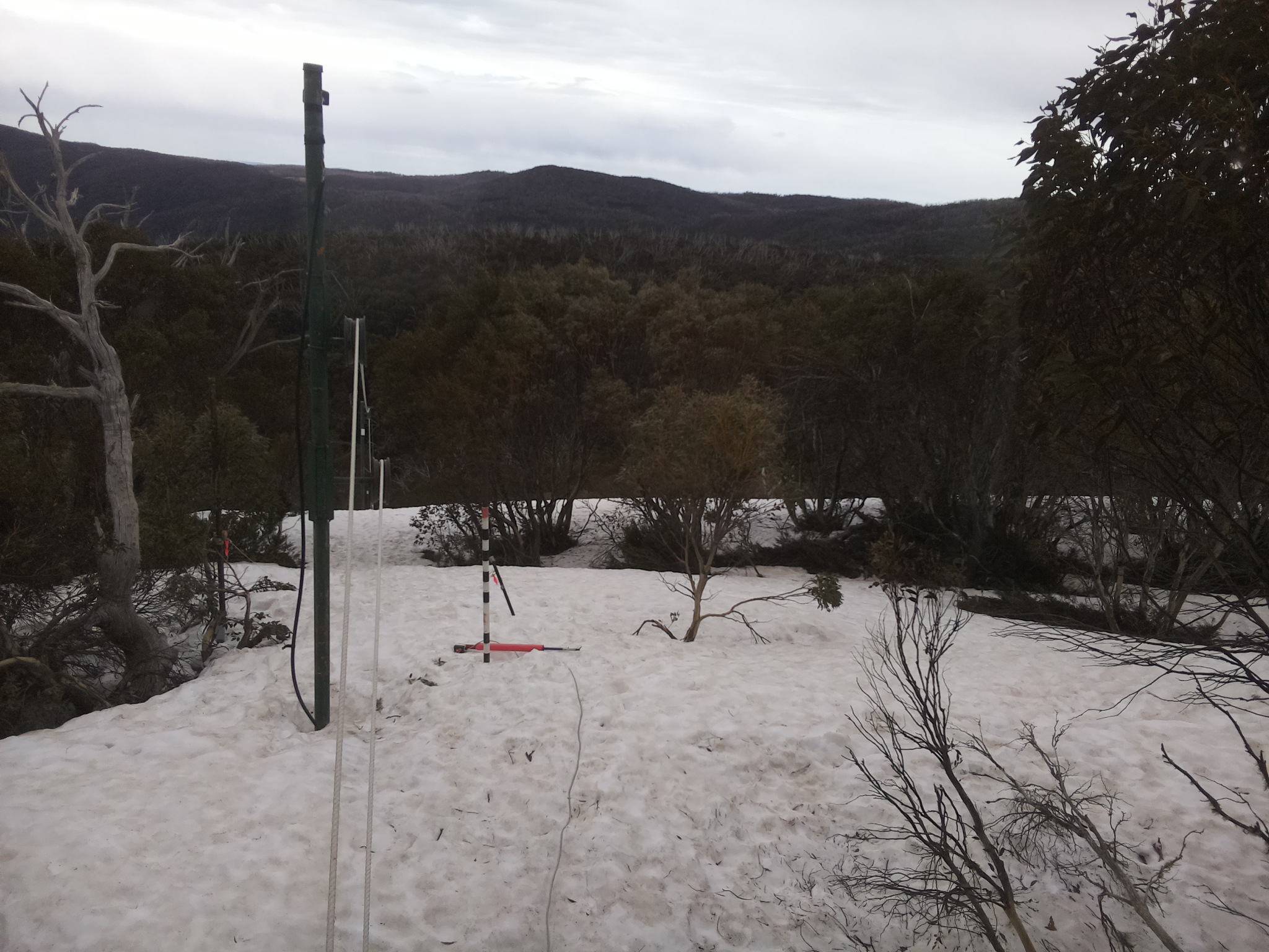 Bogong Web Cam 10:50am Tuesday 30th of September 2025