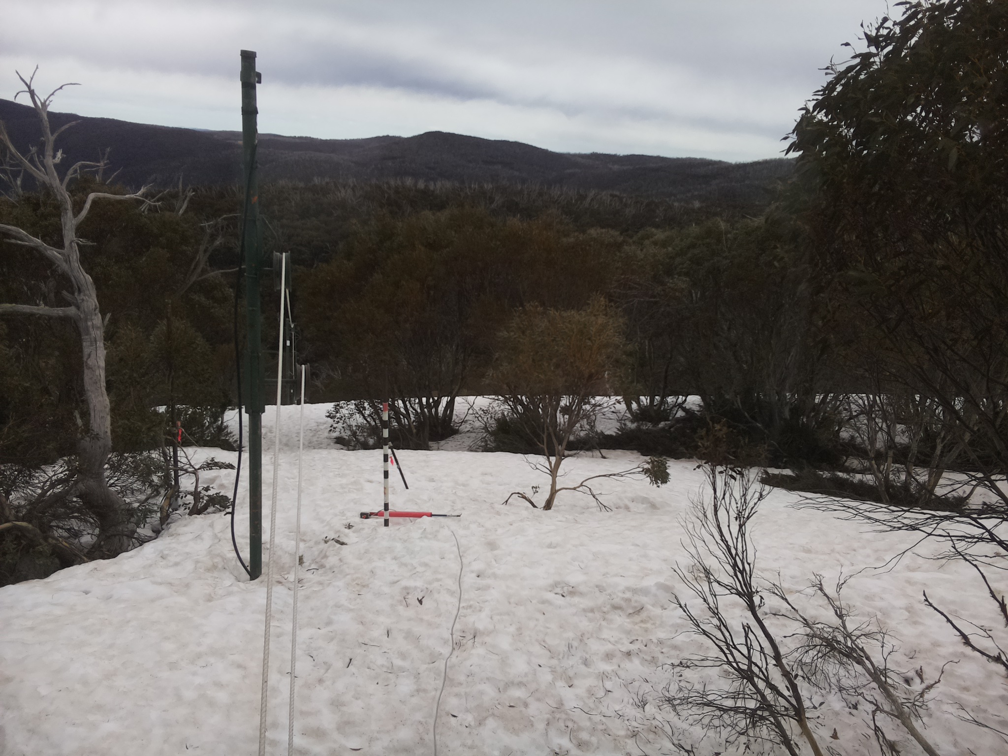 Bogong Web Cam 11:50am Tuesday 30th of September 2025