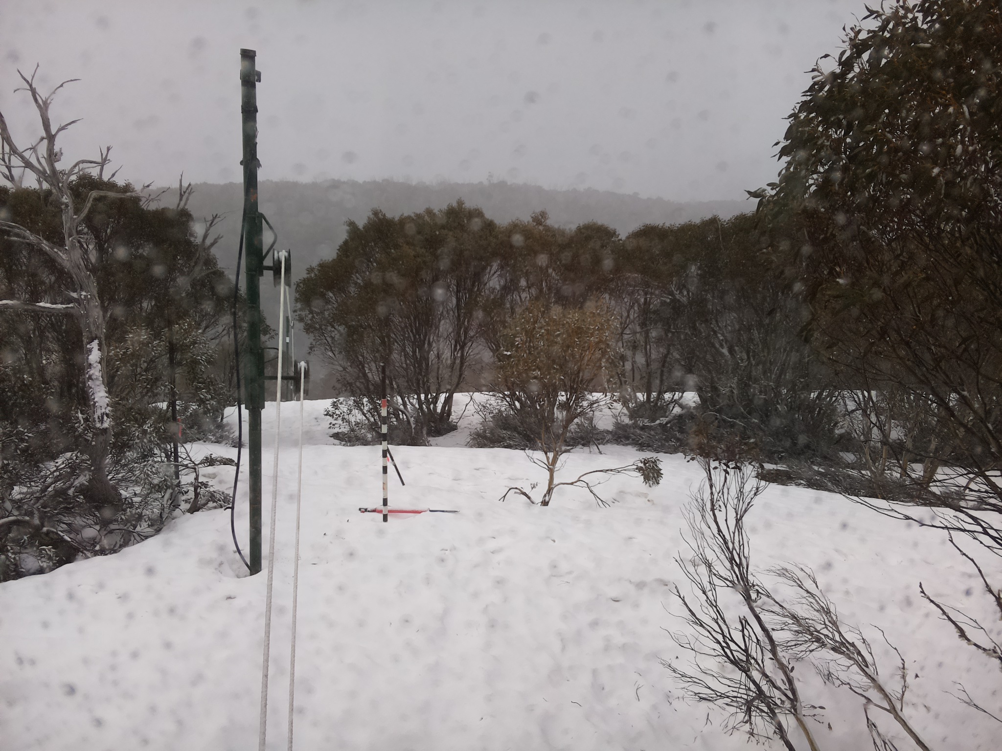 Bogong Web Cam 8:00am Wednesday 1st of October 2025