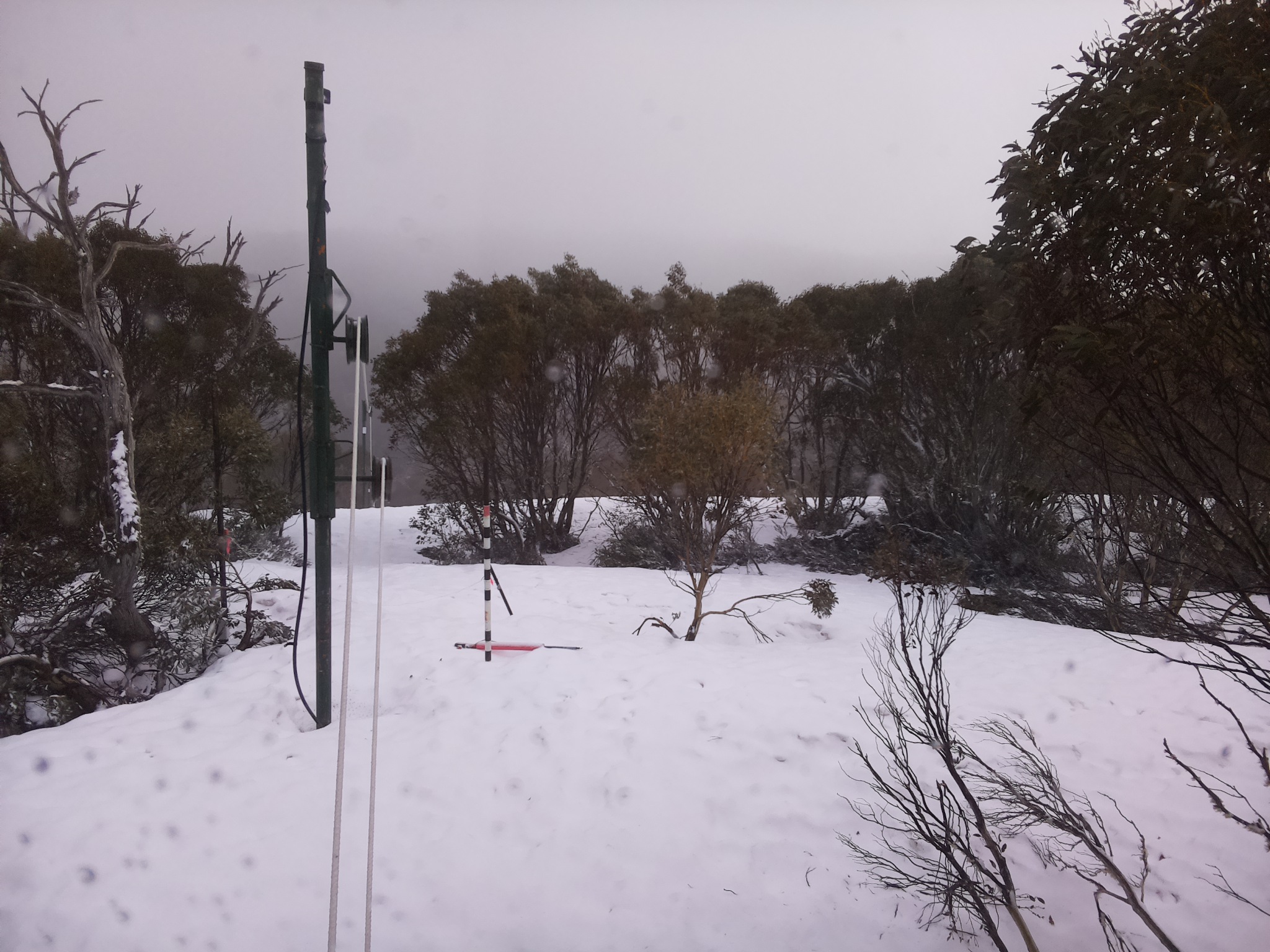 Bogong Web Cam 9:00am Wednesday 1st of October 2025