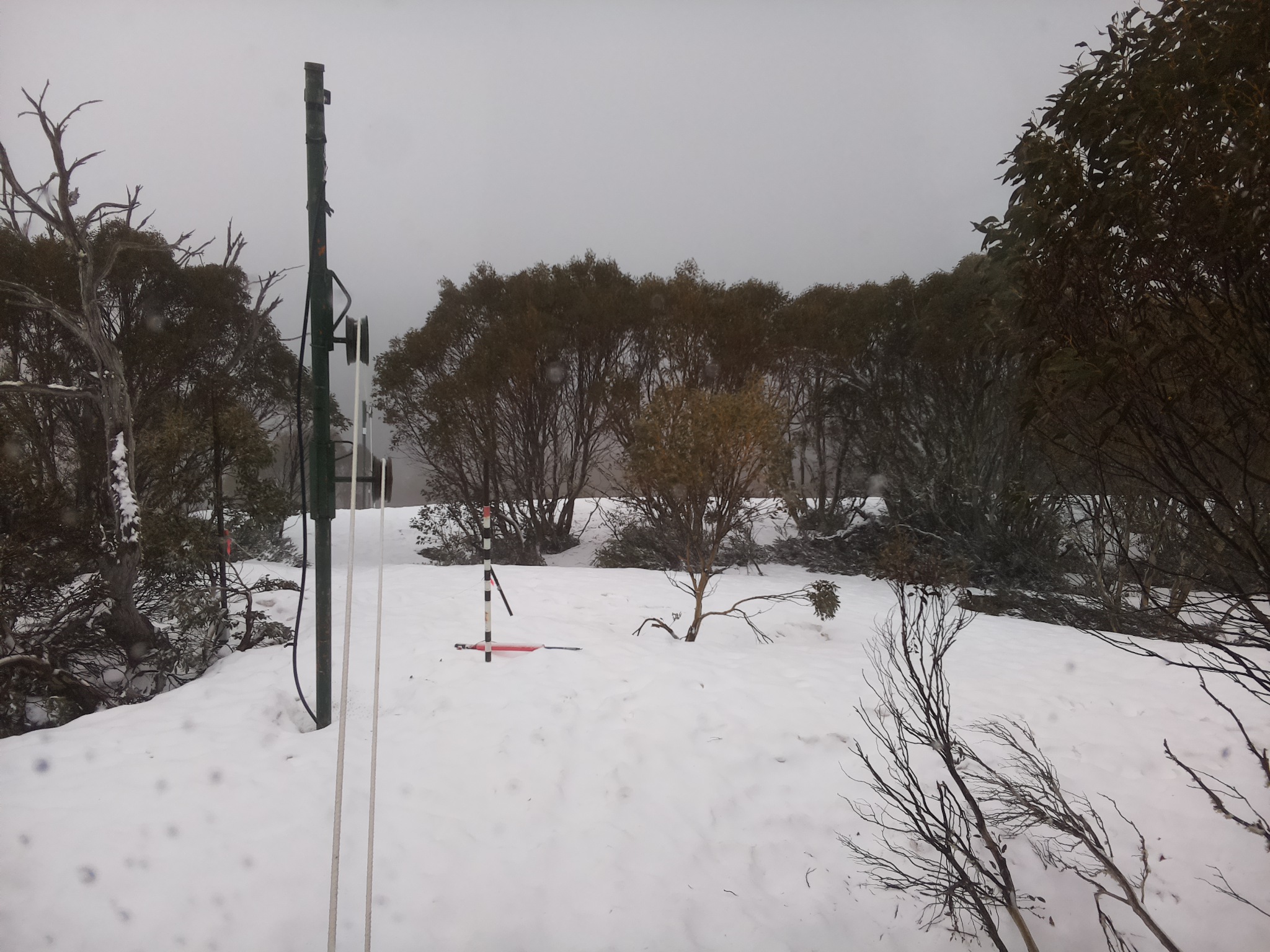 Bogong Web Cam 9:10am Wednesday 1st of October 2025