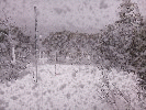 Thumbnail Thursday 2nd of October 2025