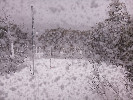 Thumbnail 8:00am Thursday 2nd of October 2025