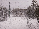 Thumbnail 10:00am Thursday 2nd of October 2025