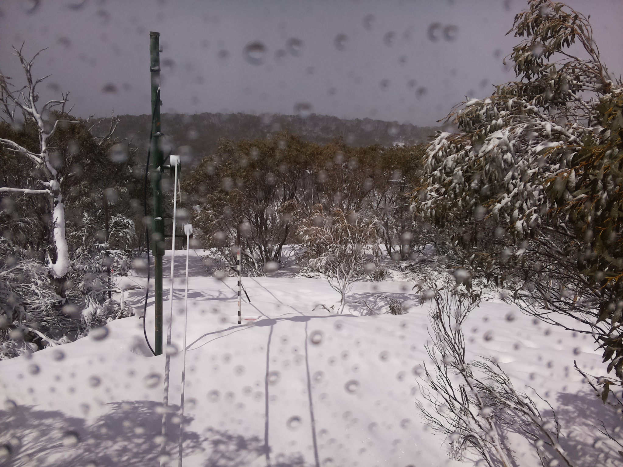 Bogong Web Cam 10:30am Thursday 2nd of October 2025