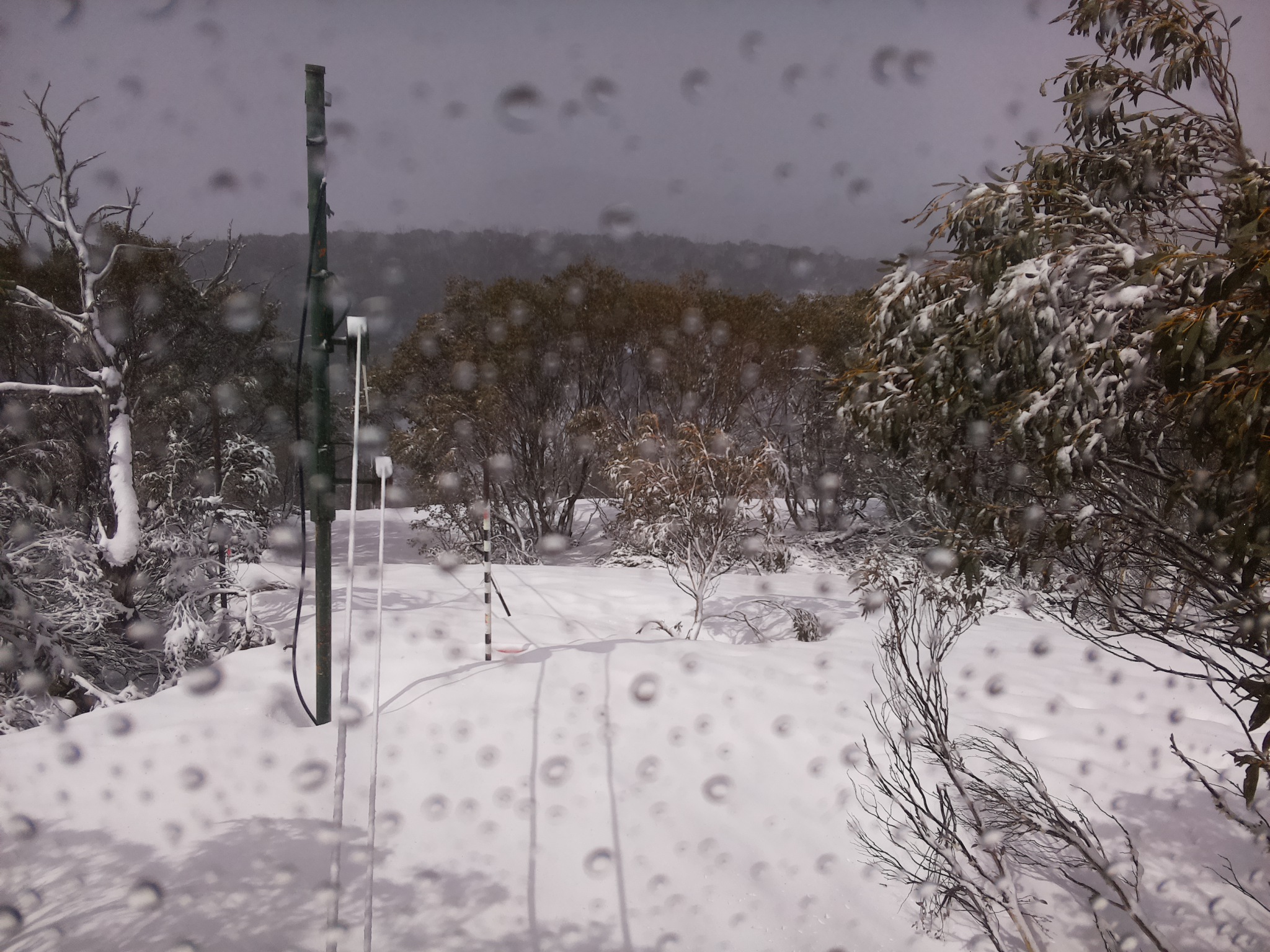 Bogong Web Cam 10:40am Thursday 2nd of October 2025