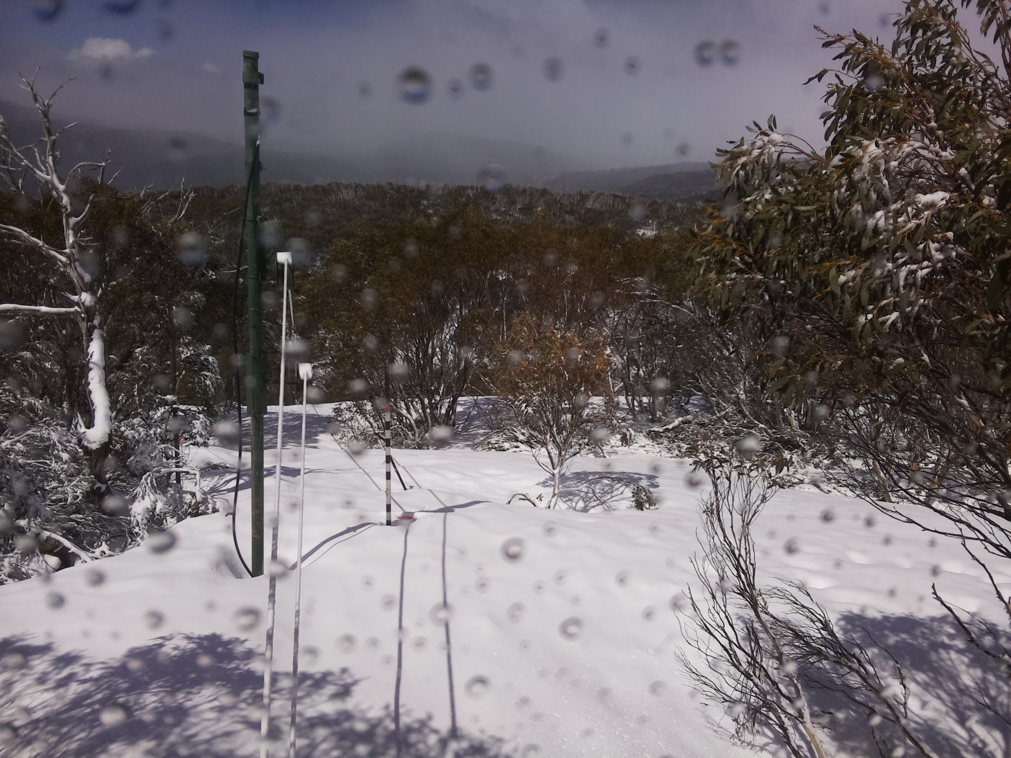 Bogong Web Cam 11:10am Thursday 2nd of October 2025