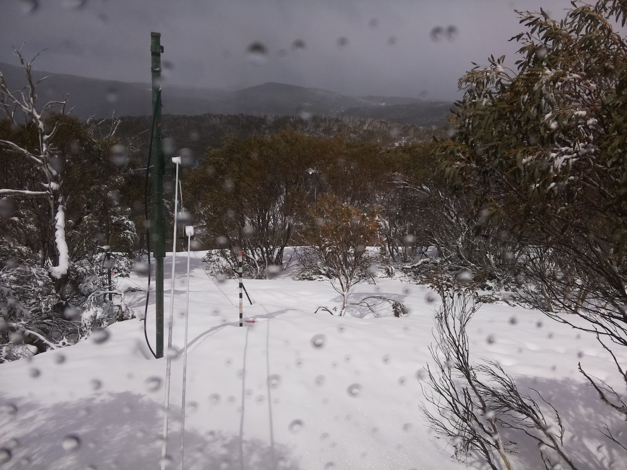 Bogong Web Cam 11:20am Thursday 2nd of October 2025