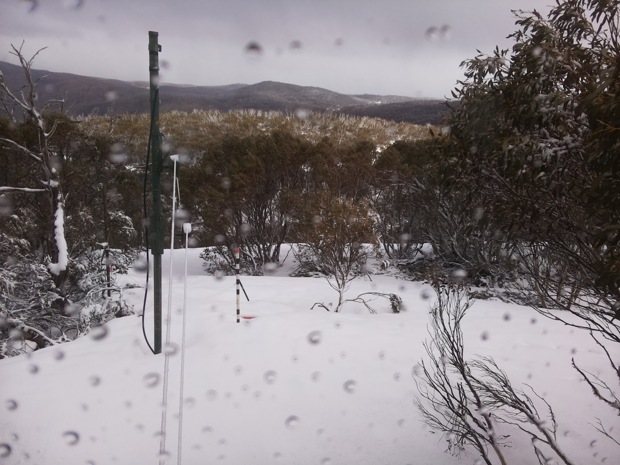 Bogong Web Cam 11:30am Thursday 2nd of October 2025
