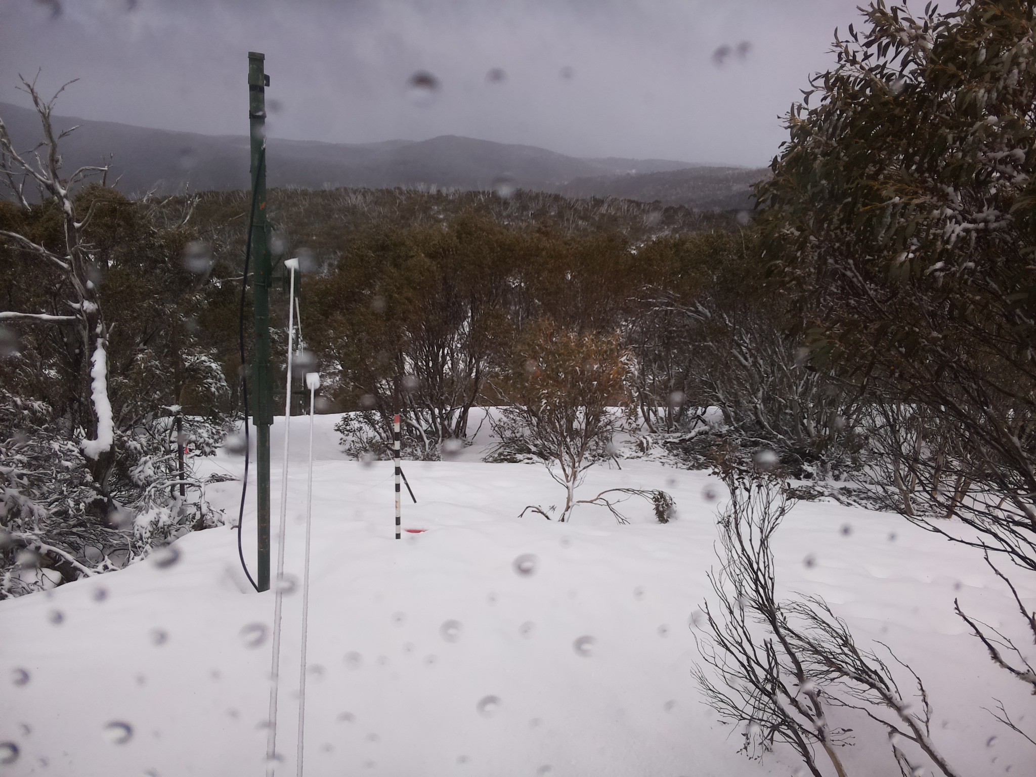 Bogong Web Cam 11:40am Thursday 2nd of October 2025
