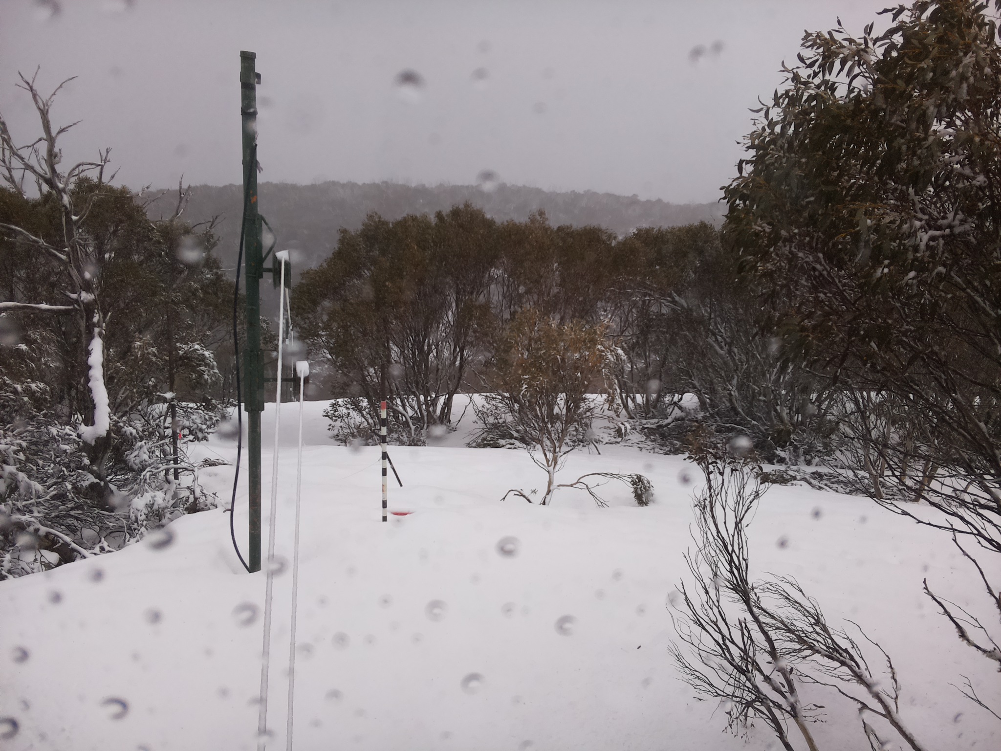Bogong Web Cam 11:50am Thursday 2nd of October 2025
