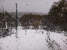 Thumbnail 11:50am Thursday 2nd of October 2025