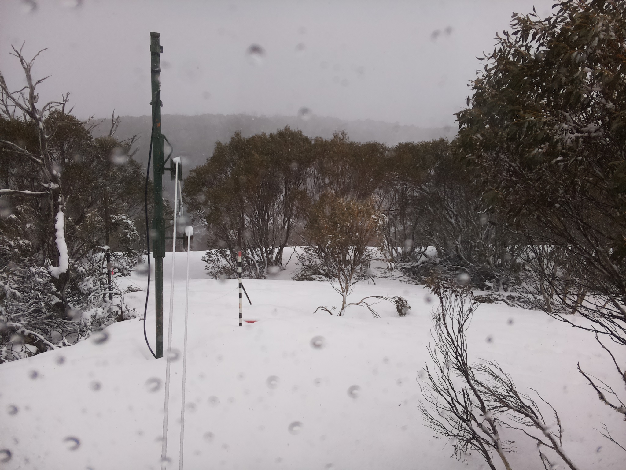 Bogong Web Cam 12:00pm Thursday 2nd of October 2025