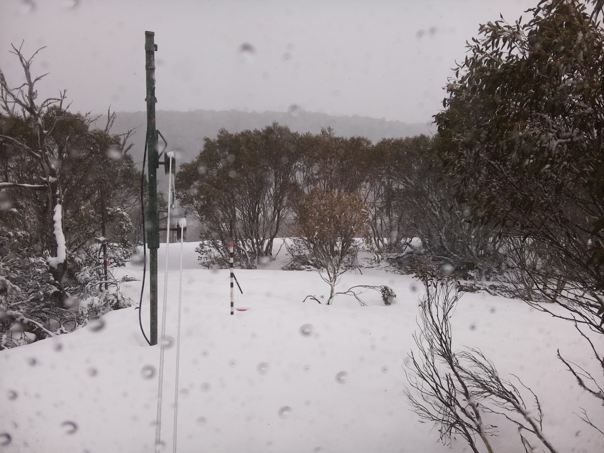 Bogong Web Cam 12:10pm Thursday 2nd of October 2025