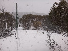 Thumbnail 12:10pm Thursday 2nd of October 2025