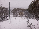 Thumbnail 12:20pm Thursday 2nd of October 2025