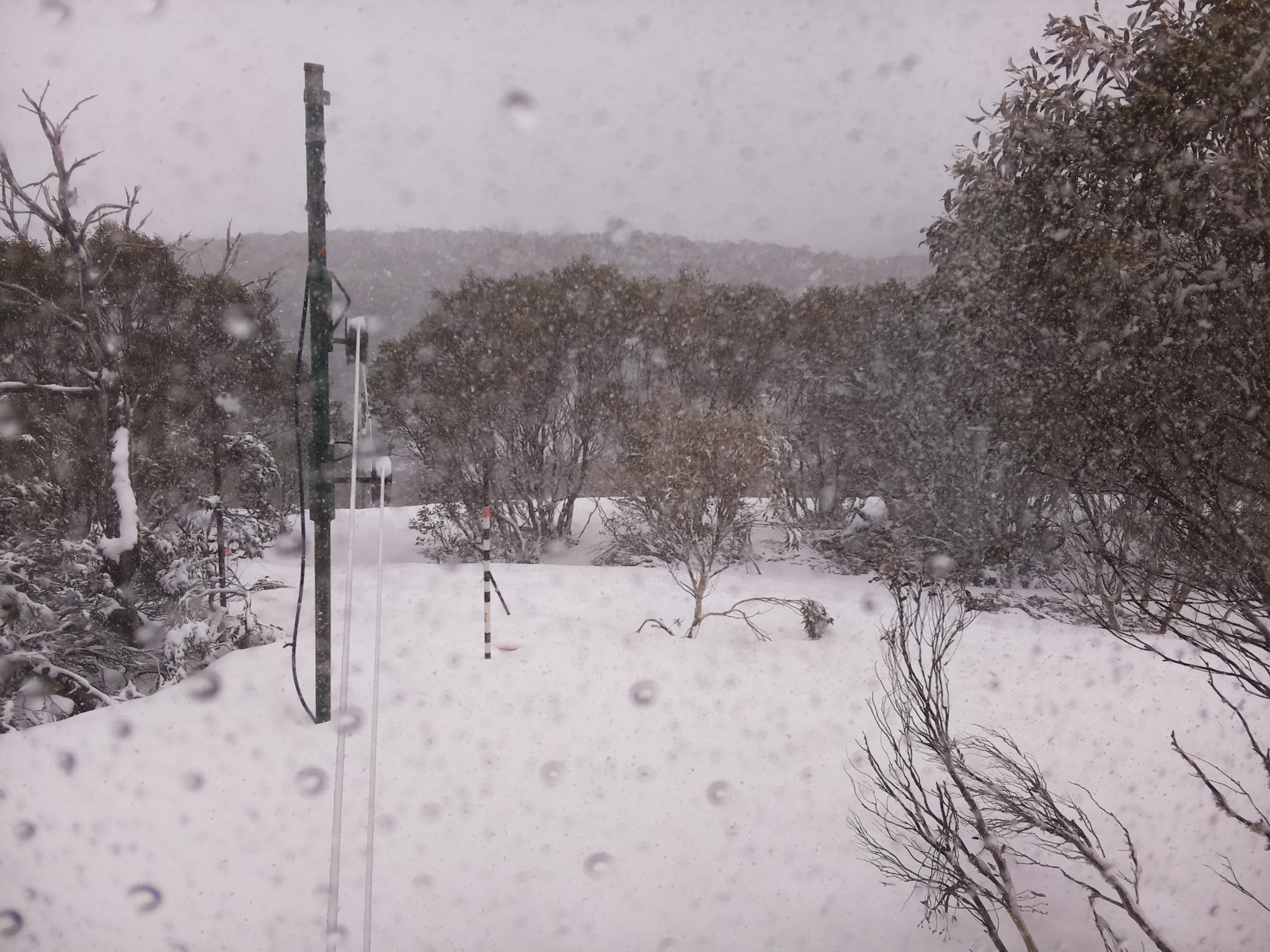 Bogong Web Cam 12:30pm Thursday 2nd of October 2025