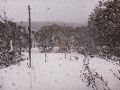 Selected Thumbnail 12:30pm Thursday 2nd of October 2025