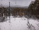 Thumbnail 12:40pm Thursday 2nd of October 2025
