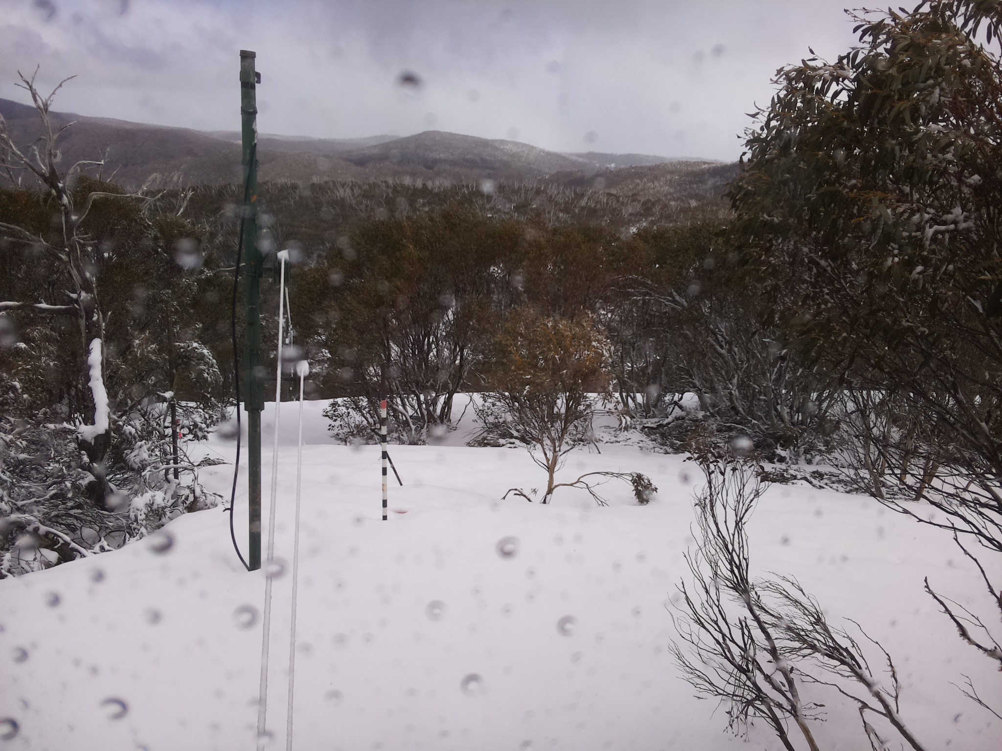 Bogong Web Cam 12:50pm Thursday 2nd of October 2025