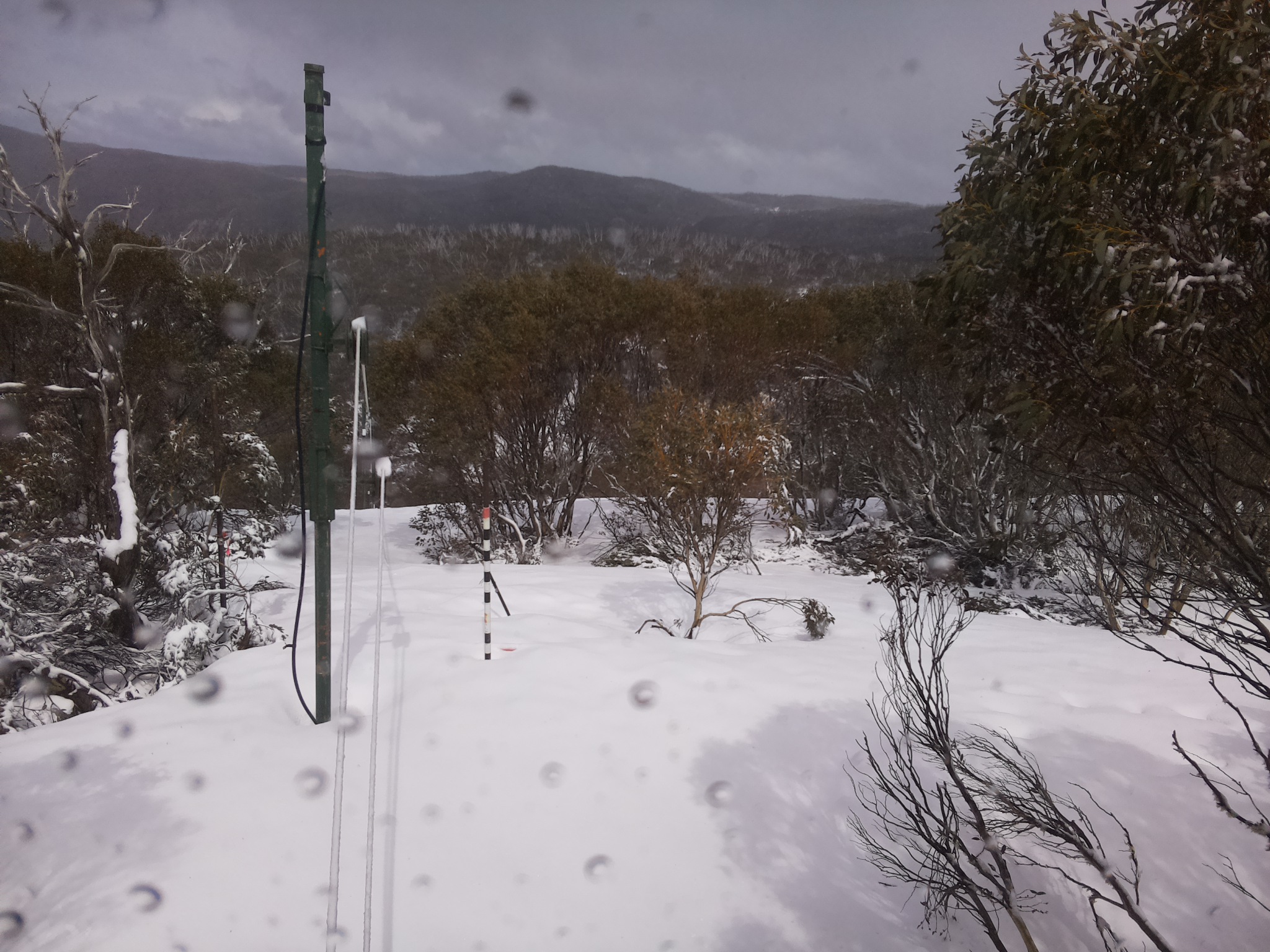 Bogong Web Cam 1:00pm Thursday 2nd of October 2025