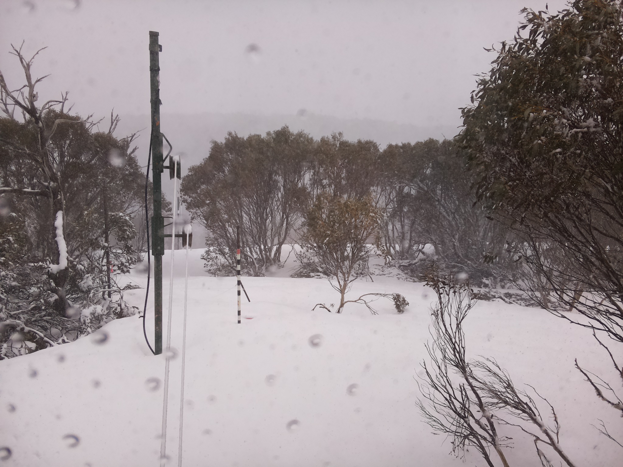 Bogong Web Cam 1:10pm Thursday 2nd of October 2025