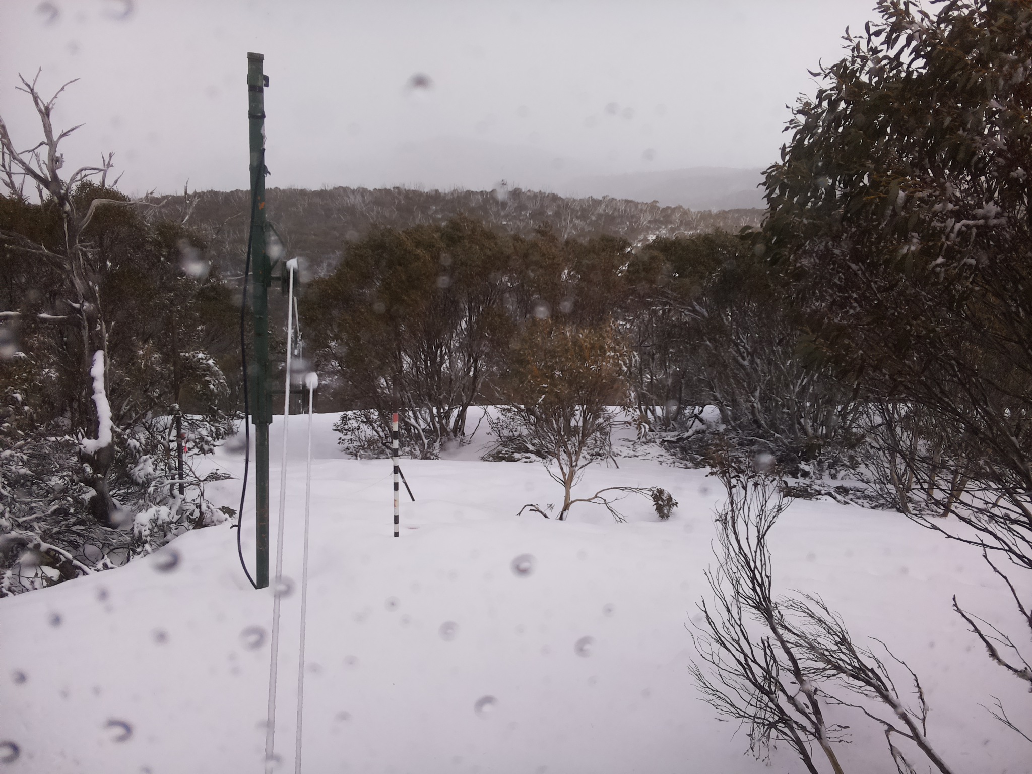 Bogong Web Cam 1:20pm Thursday 2nd of October 2025