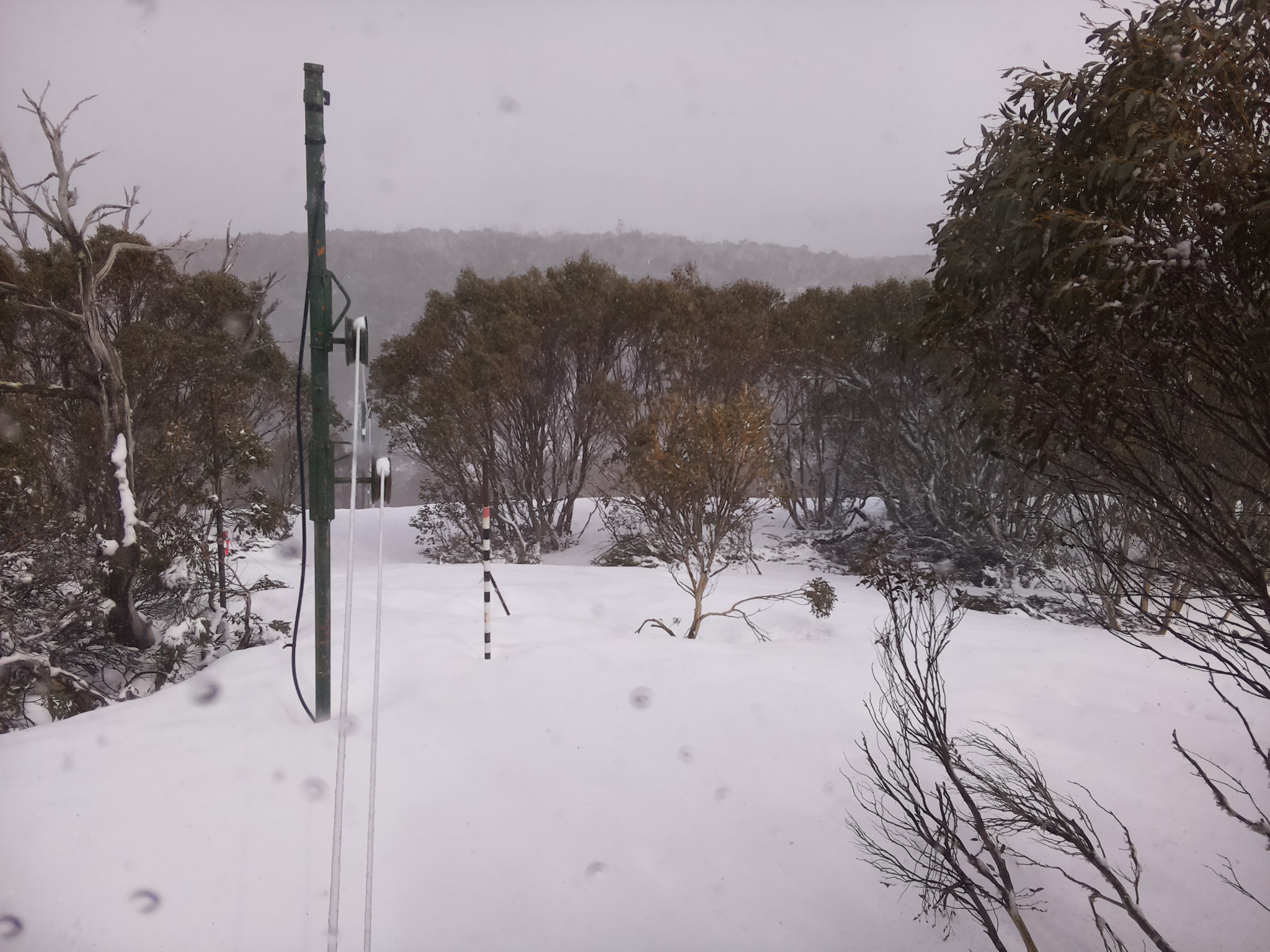 Bogong Web Cam 2:20pm Thursday 2nd of October 2025