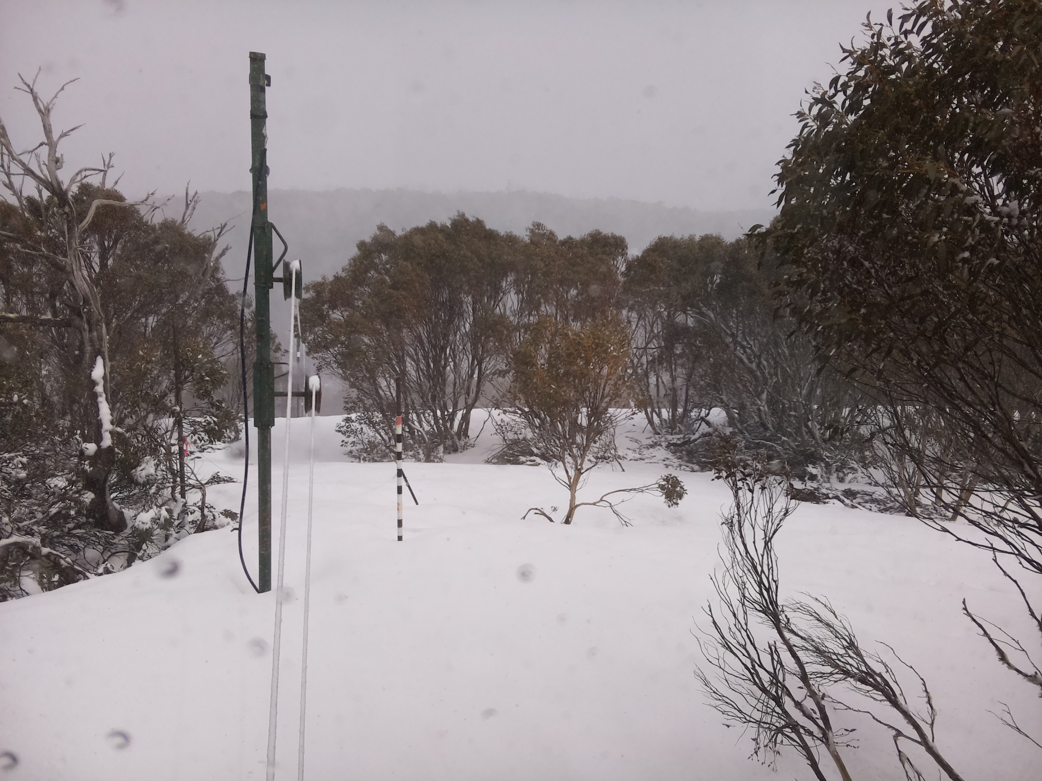 Bogong Web Cam 2:30pm Thursday 2nd of October 2025