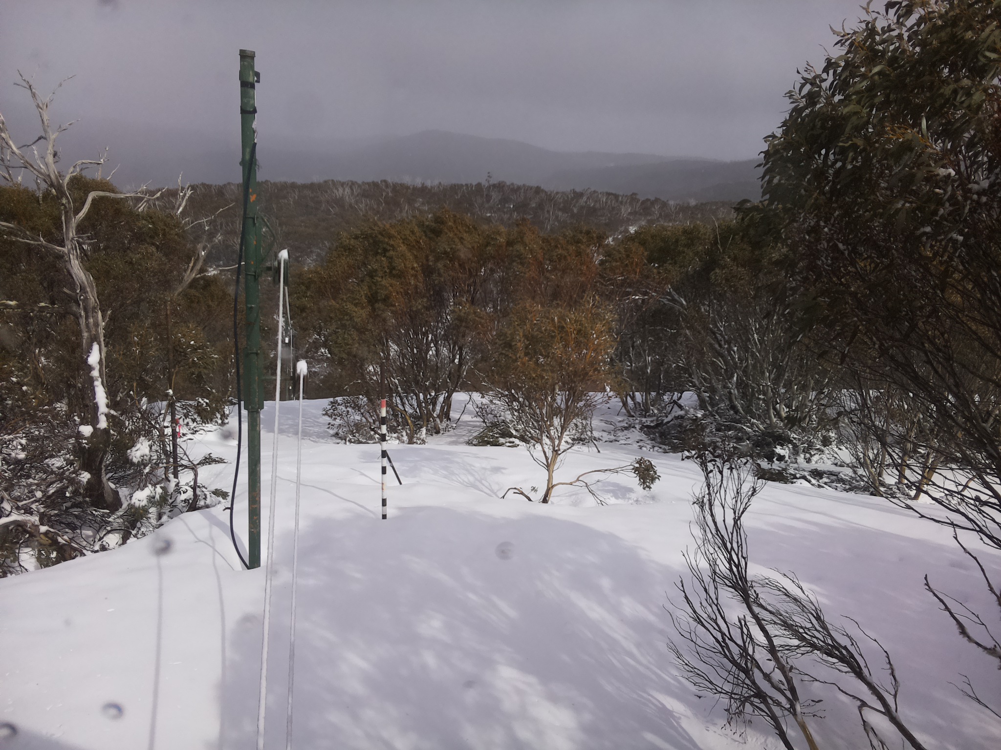 Bogong Web Cam 2:40pm Thursday 2nd of October 2025