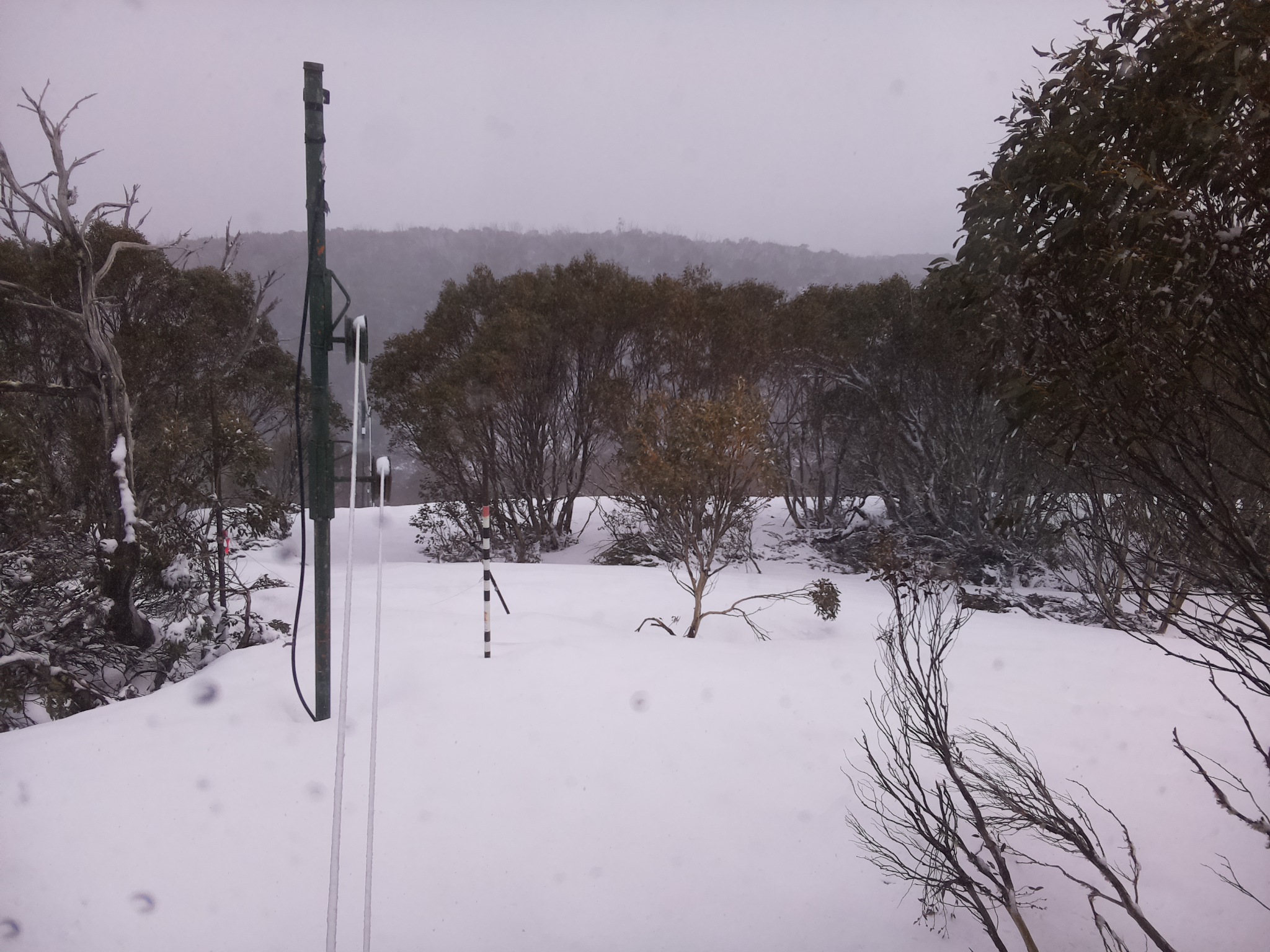 Bogong Web Cam 3:00pm Thursday 2nd of October 2025