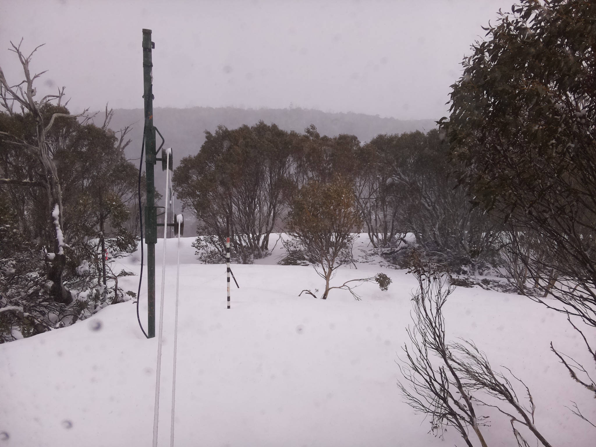 Bogong Web Cam 3:10pm Thursday 2nd of October 2025