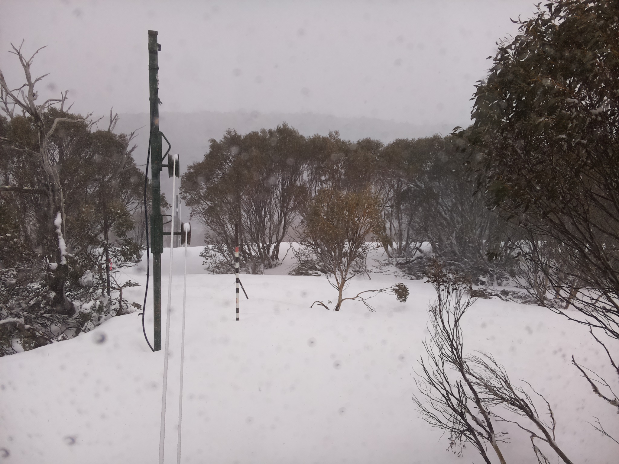 Bogong Web Cam 3:20pm Thursday 2nd of October 2025