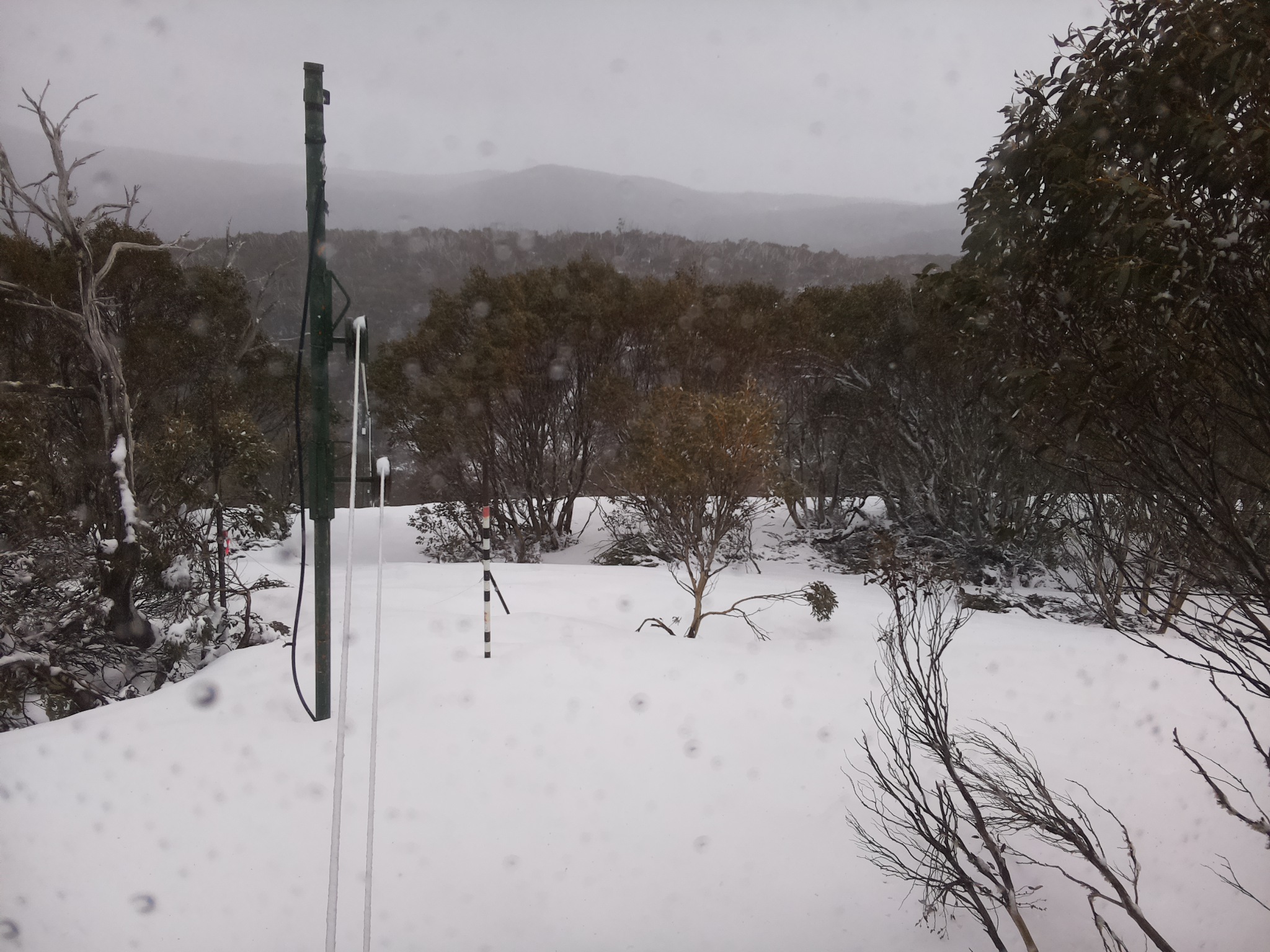 Bogong Web Cam 3:30pm Thursday 2nd of October 2025