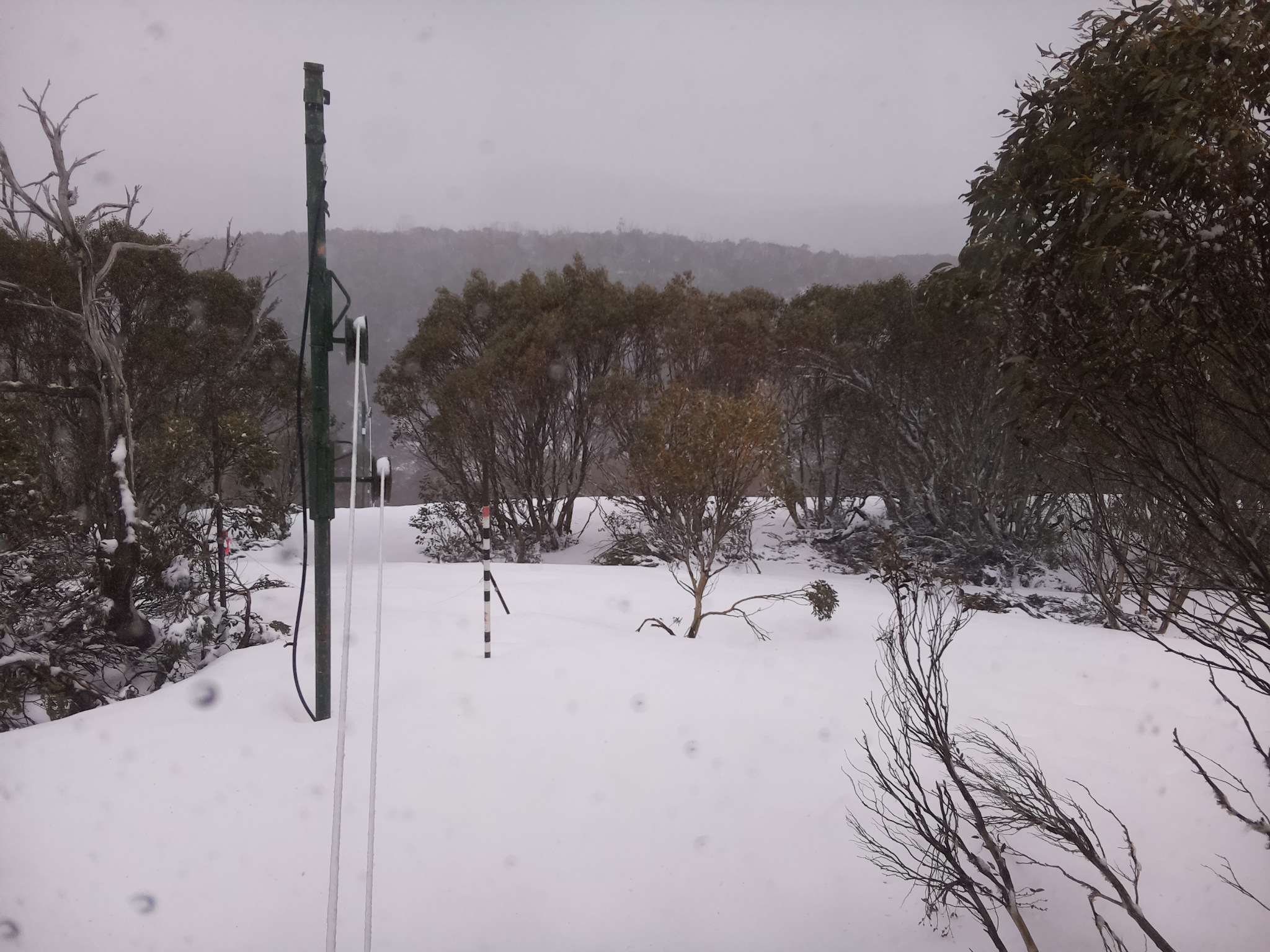 Bogong Web Cam 3:40pm Thursday 2nd of October 2025