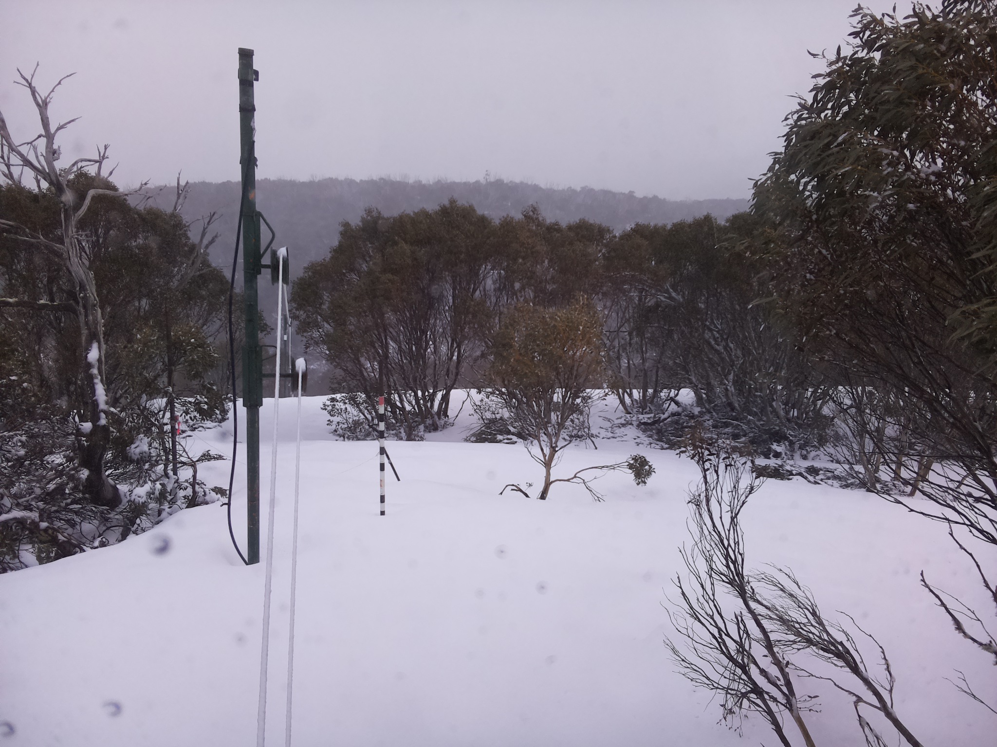 Bogong Web Cam 3:50pm Thursday 2nd of October 2025