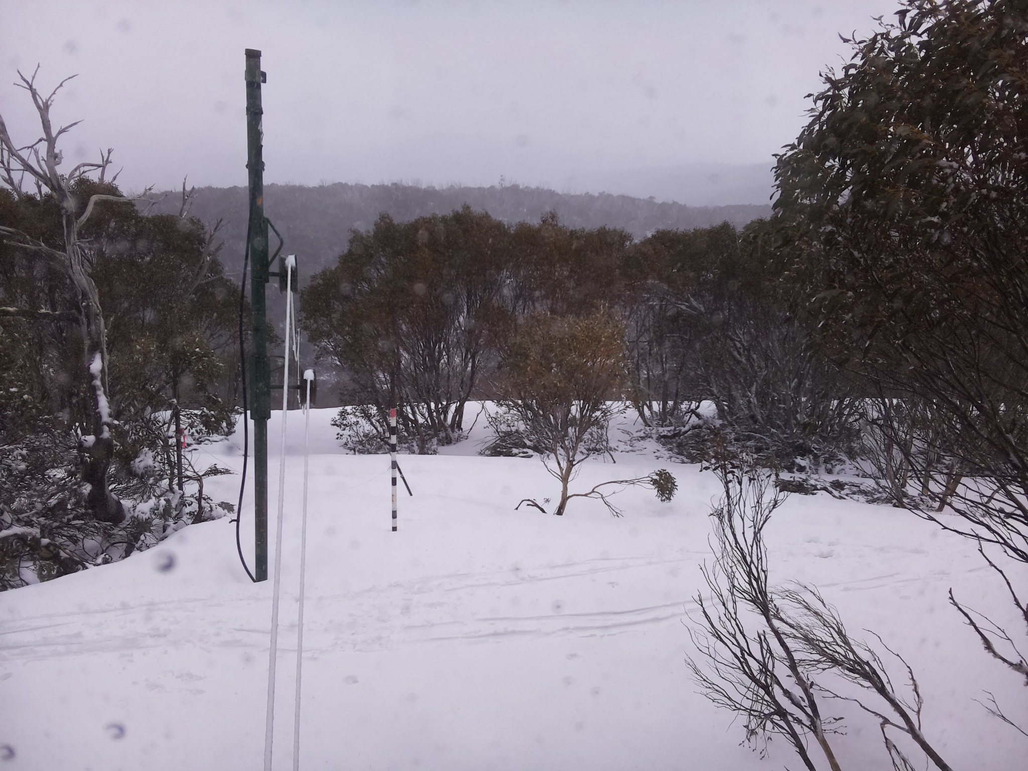 Bogong Web Cam 4:00pm Thursday 2nd of October 2025