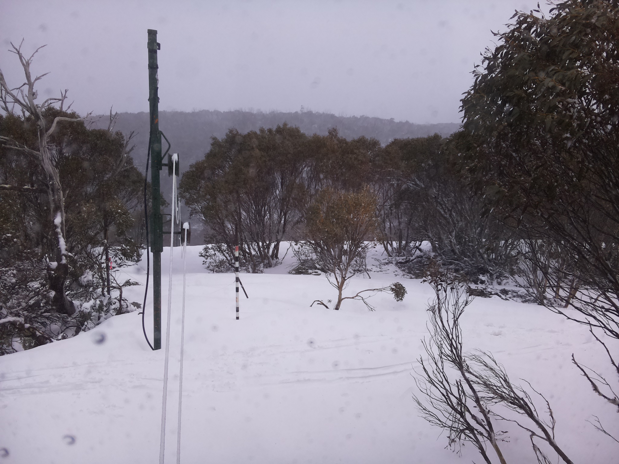 Bogong Web Cam 4:10pm Thursday 2nd of October 2025