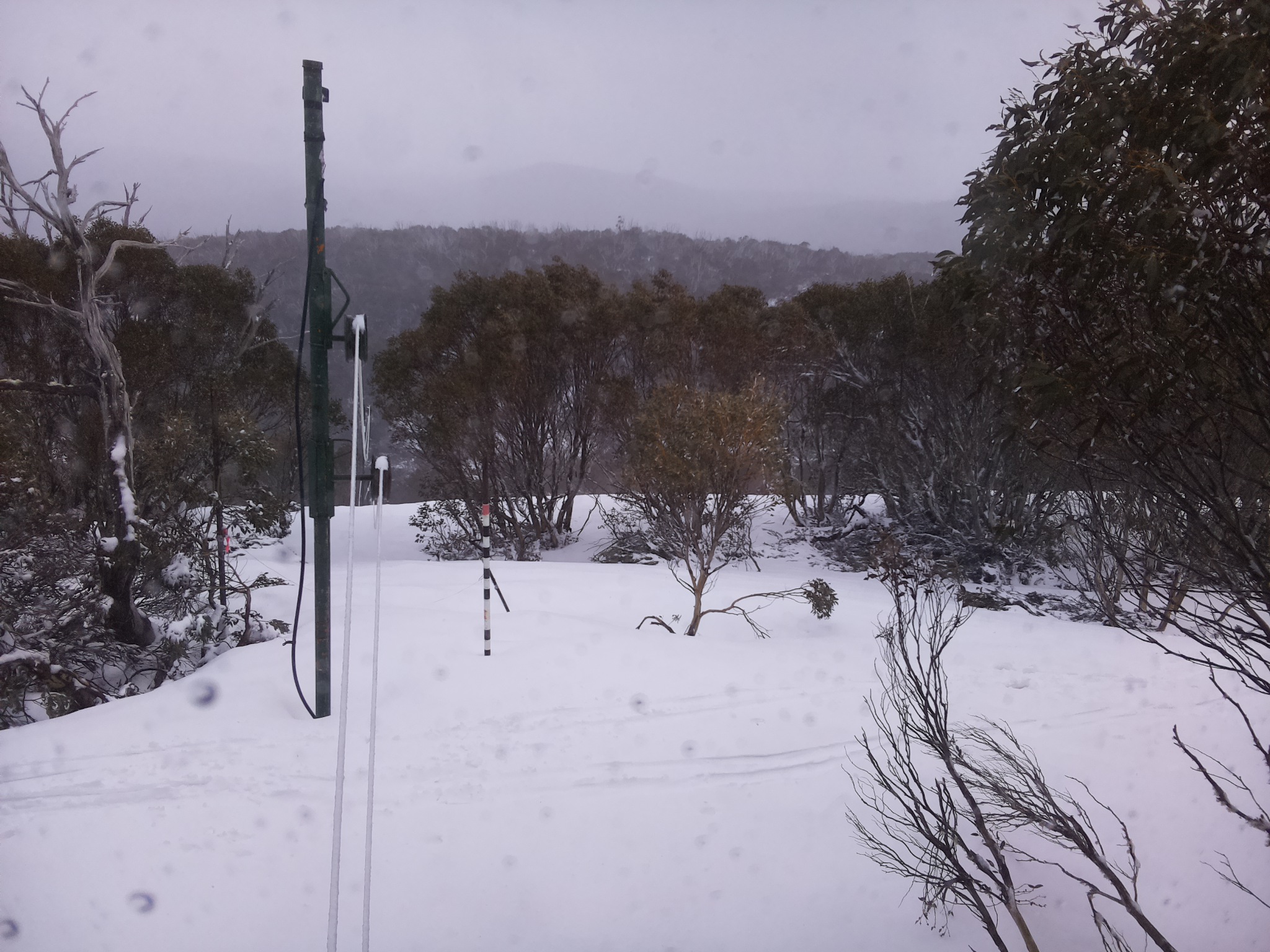 Bogong Web Cam 4:20pm Thursday 2nd of October 2025