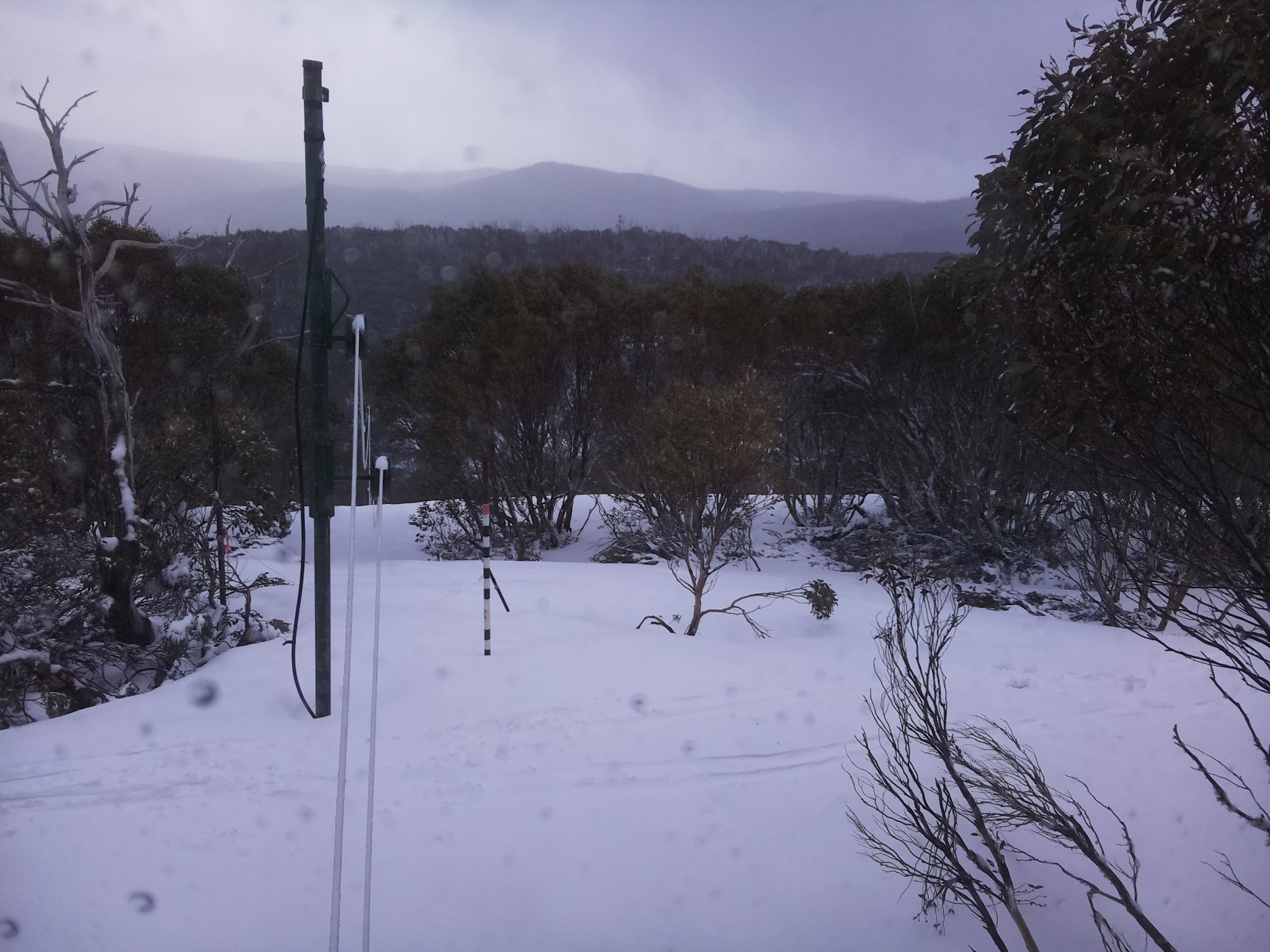 Bogong Web Cam 4:30pm Thursday 2nd of October 2025