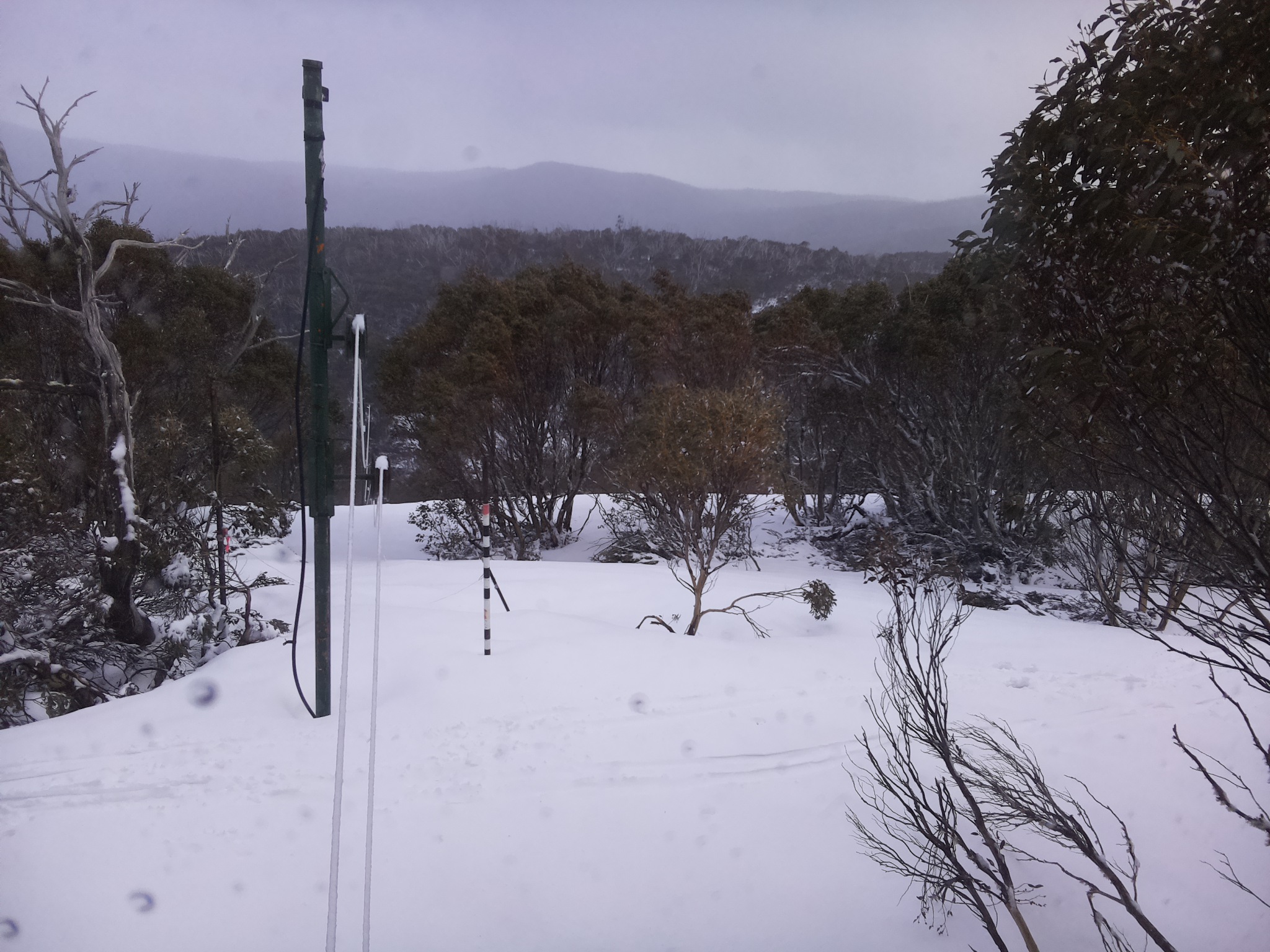 Bogong Web Cam 4:40pm Thursday 2nd of October 2025