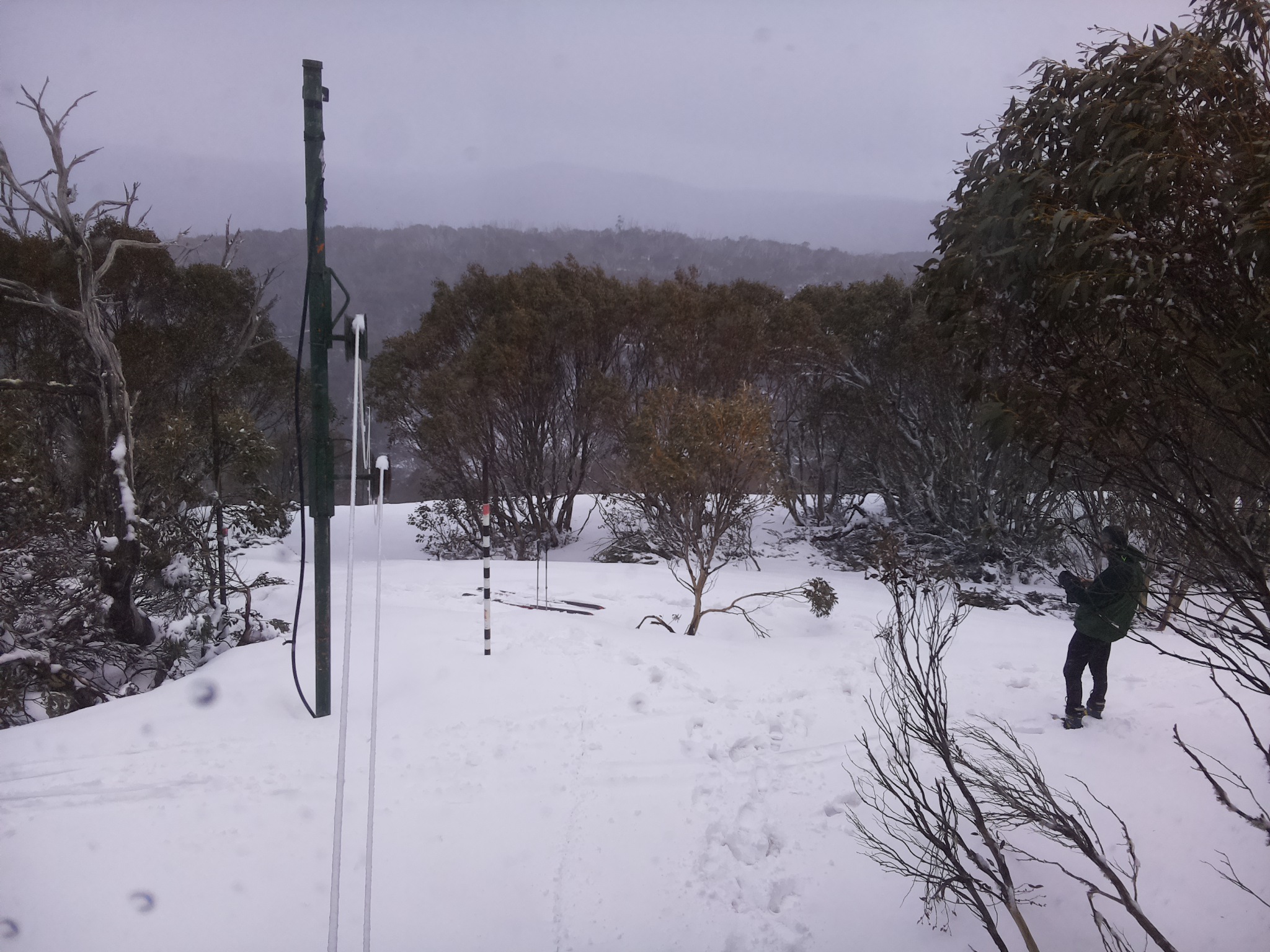 Bogong Web Cam 4:50pm Thursday 2nd of October 2025