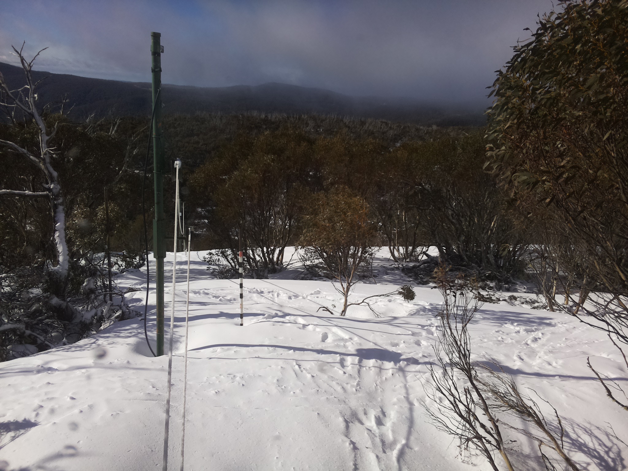Bogong Web Cam 8:10am Friday 3rd of October 2025