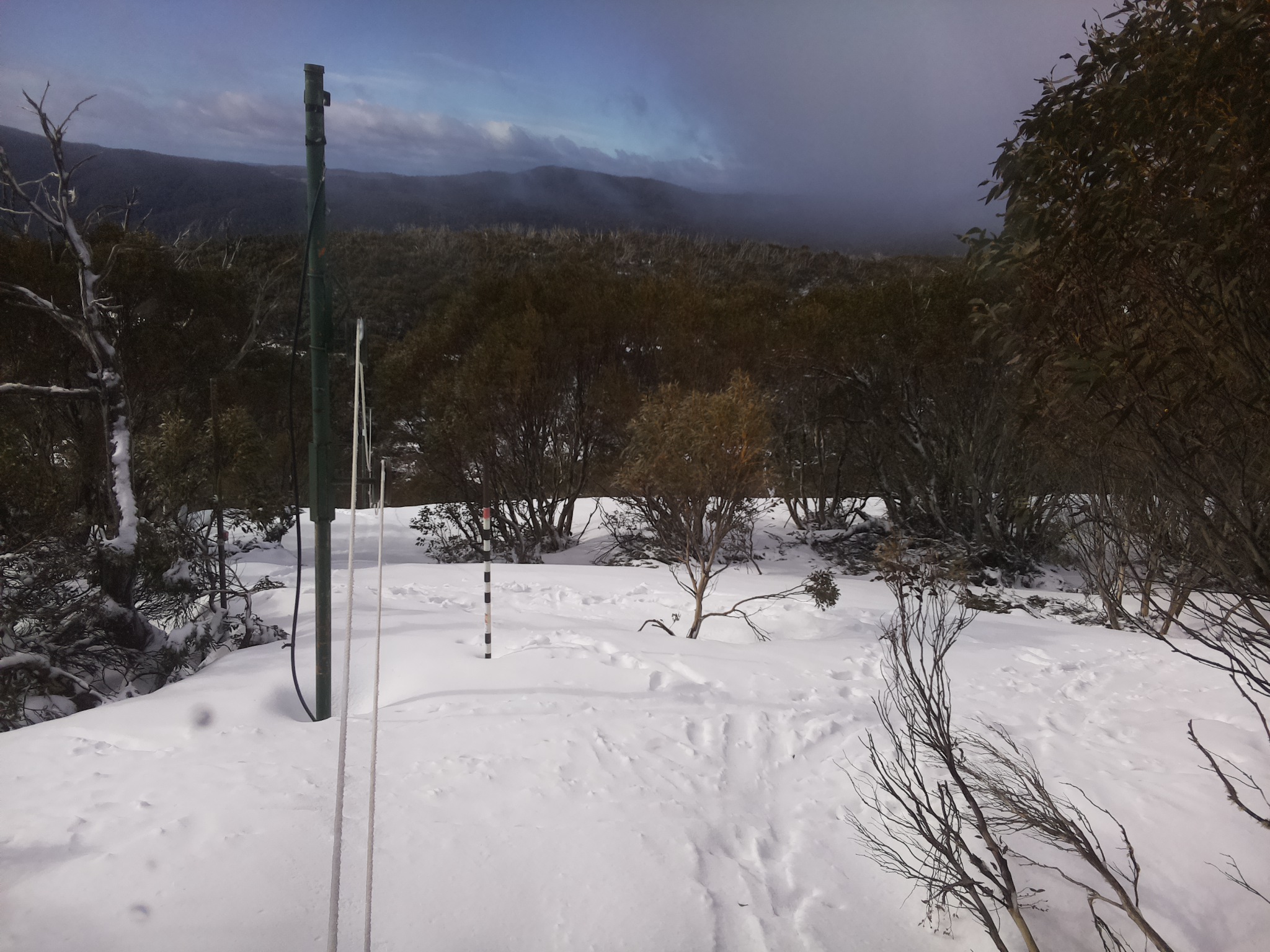 Bogong Web Cam 8:40am Friday 3rd of October 2025