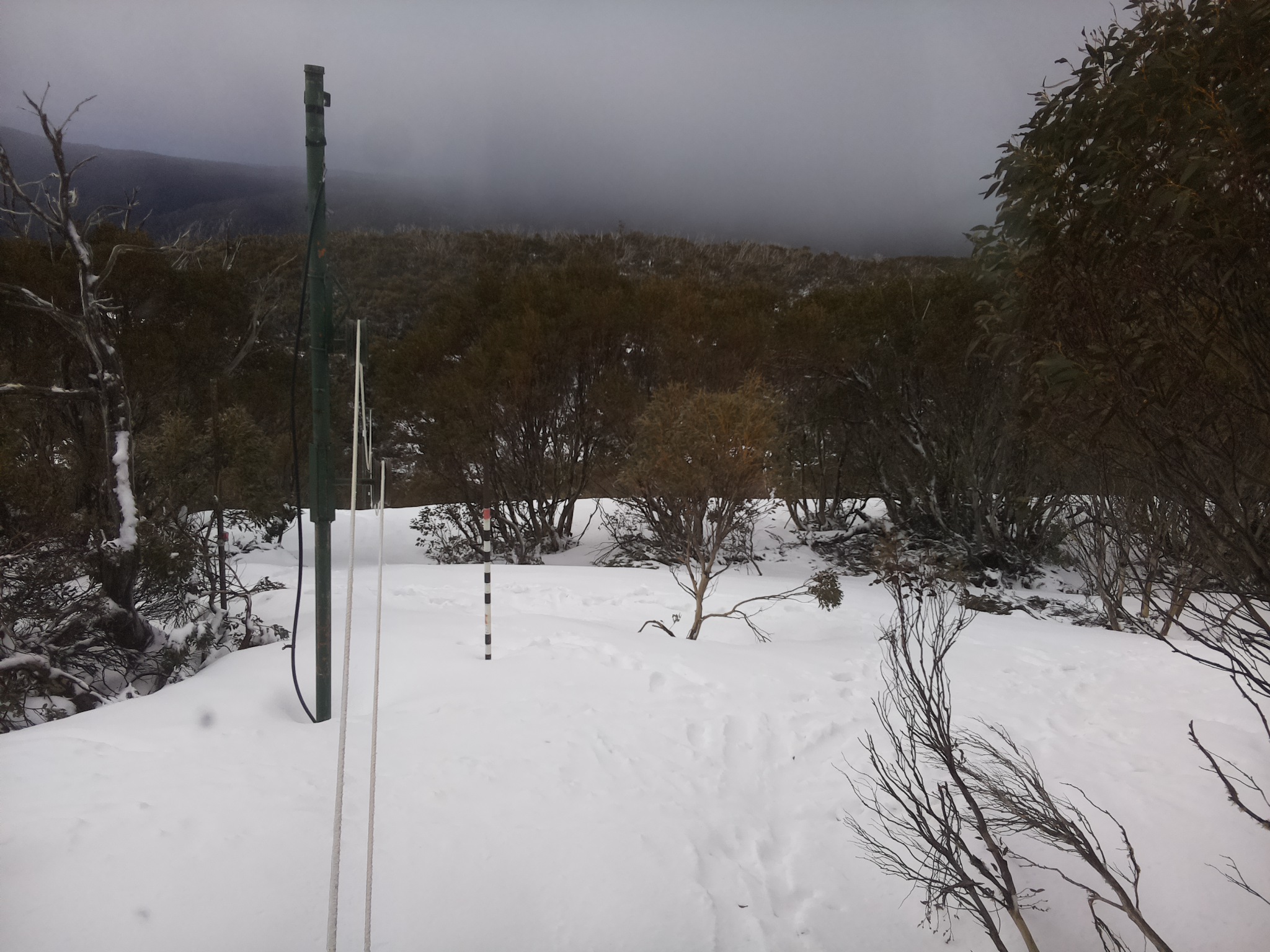 Bogong Web Cam 9:00am Friday 3rd of October 2025