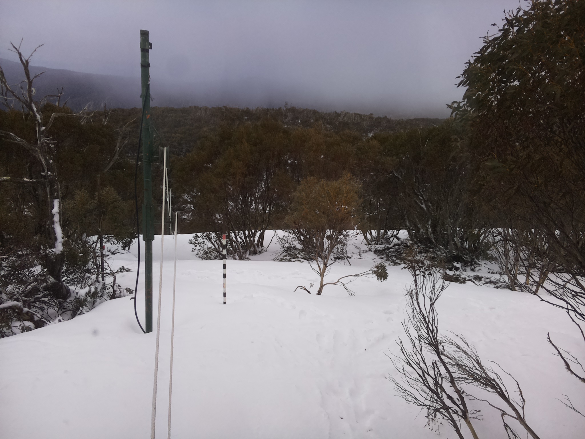 Bogong Web Cam 9:10am Friday 3rd of October 2025