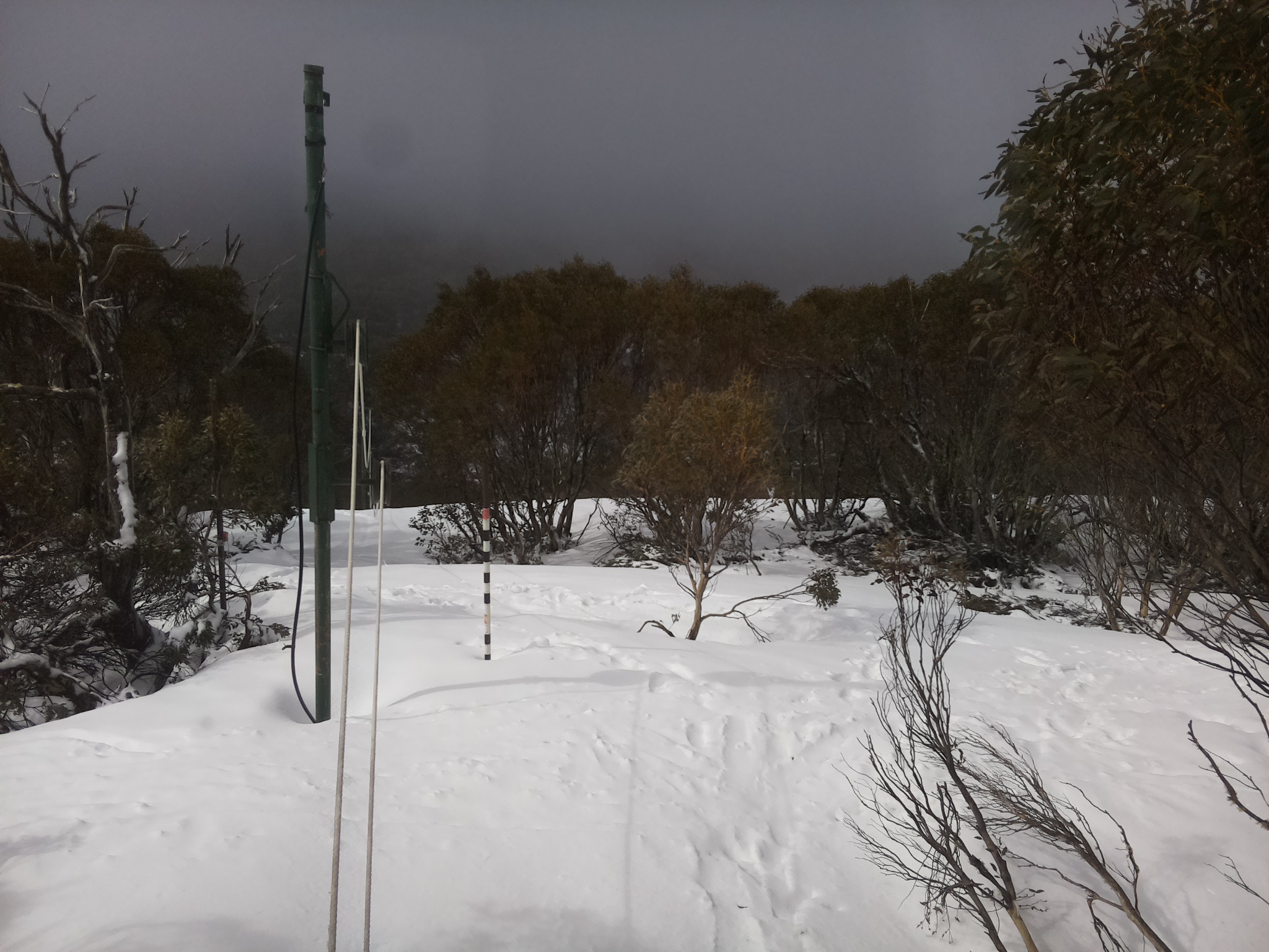 Bogong Web Cam 9:20am Friday 3rd of October 2025