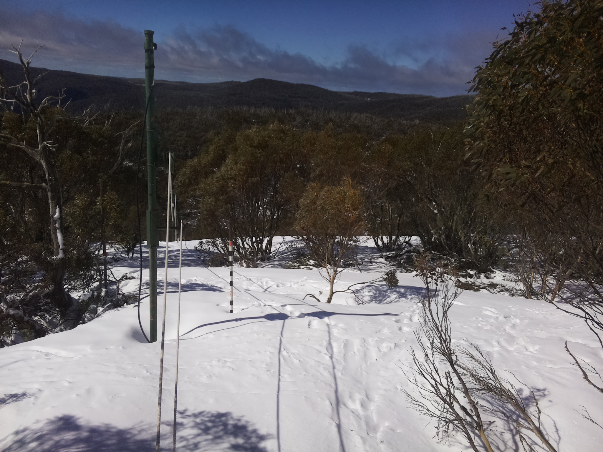 Bogong Web Cam 9:50am Friday 3rd of October 2025