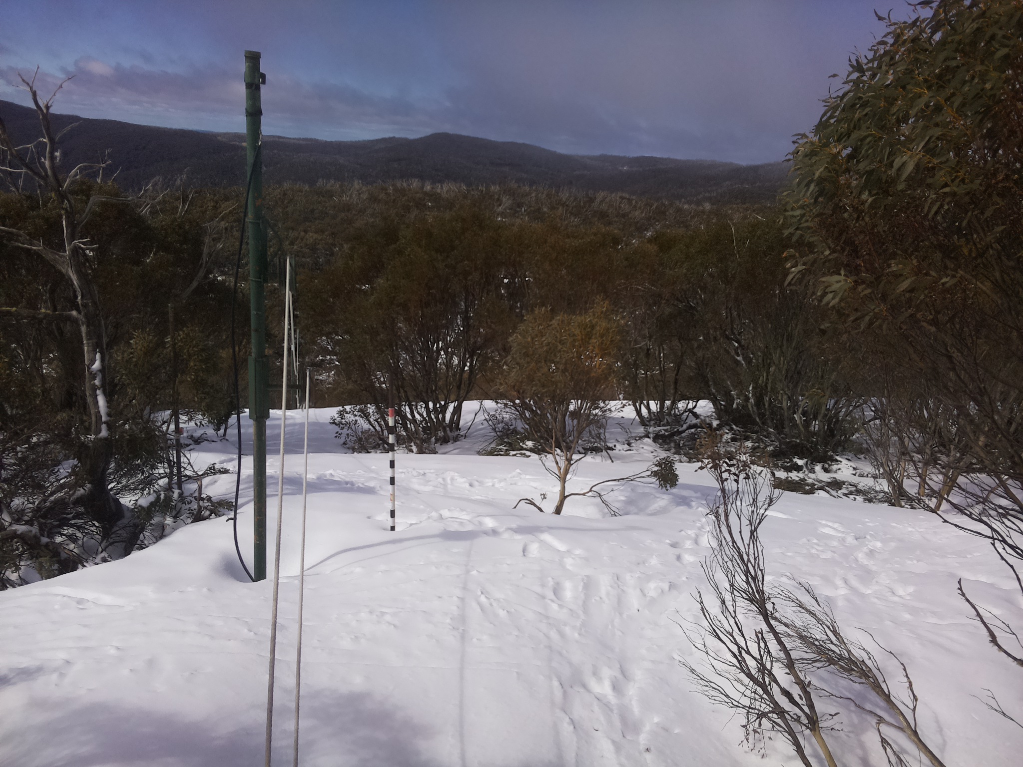 Bogong Web Cam 10:00am Friday 3rd of October 2025