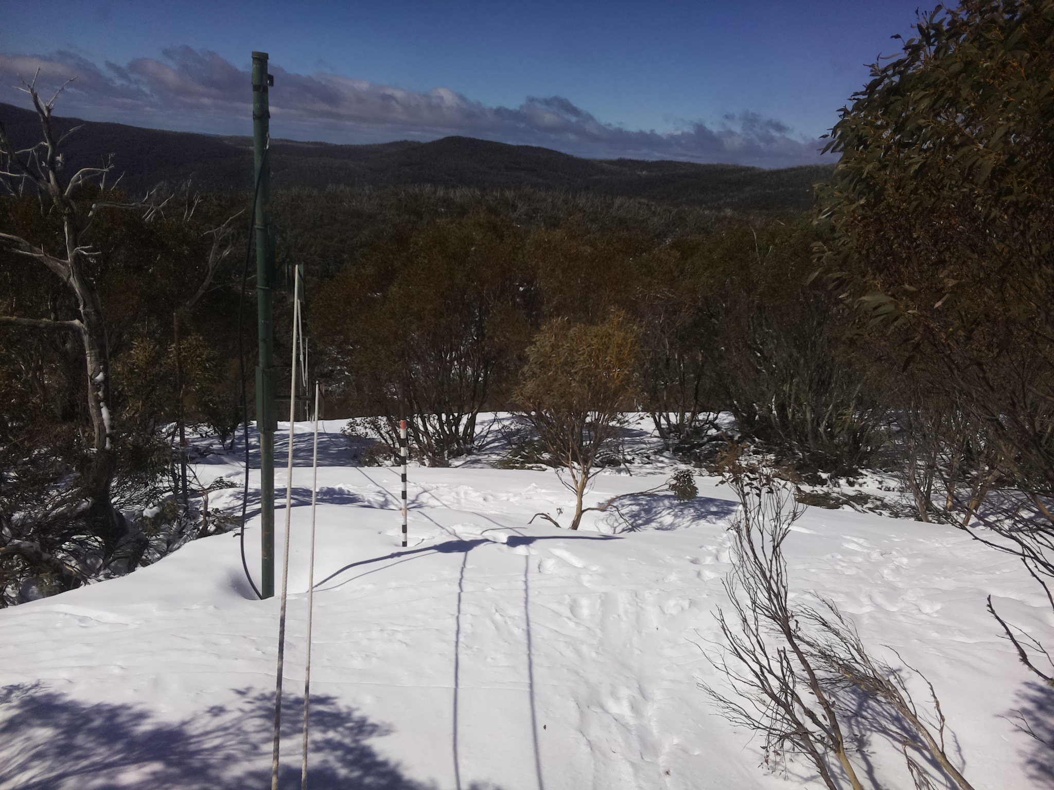 Bogong Web Cam 10:20am Friday 3rd of October 2025